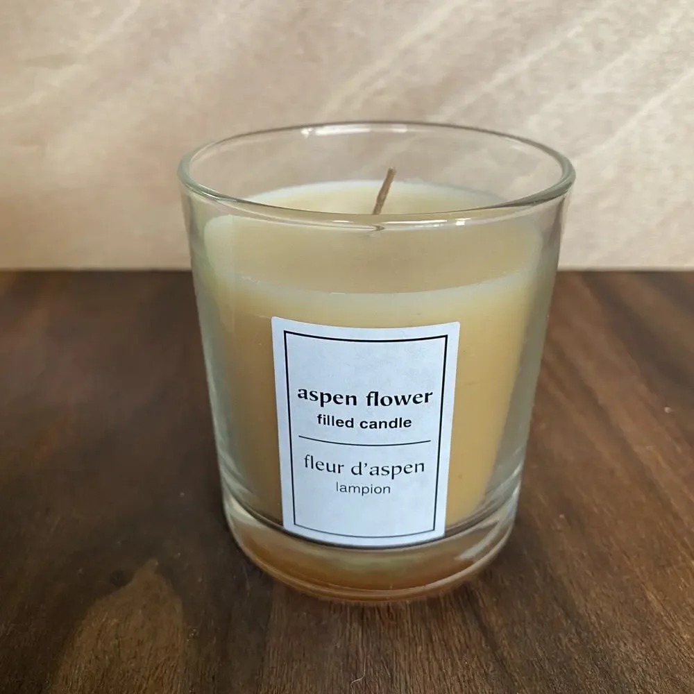 Pier 1 One Imports Aspen Flower Filler Candle 6.17 oz New